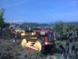 Chenillard Toselli - 1962